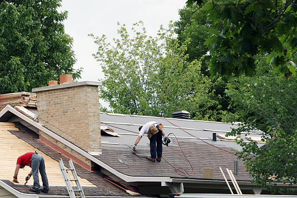 Best Storm Damage Roof Repair  in Minonk, IL