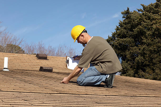 Best Skylight Installation and Repair  in Minonk, IL
